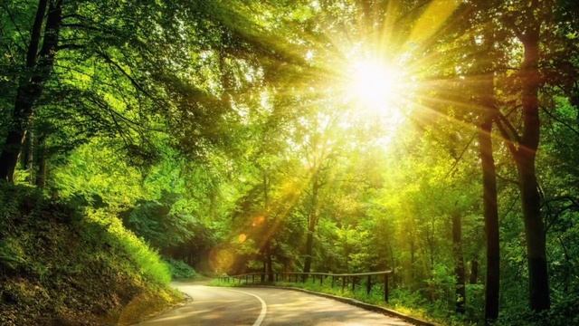 Медитация «Разбуди в себе Императрицу" смотреть онлайн