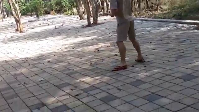 Хампи. Обезьяны. Тигры и львы))) смотреть онлайн