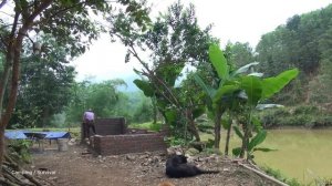 Building Pig House, BUILD LOG CABIN for pig, brick wall - Green forest life, farm life Ep3