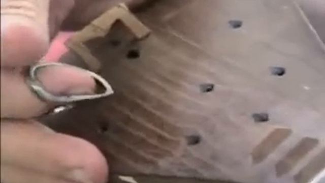 Turgun Alimatov Tanbur