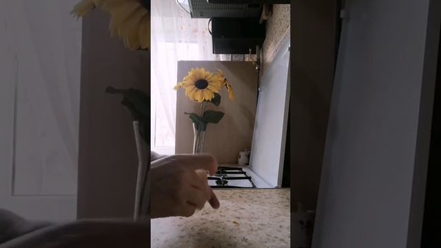 Учебник по Творческому Процессу