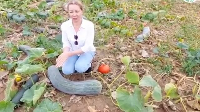 Эпиляция: как ухаживать за кожей после шугаринга?