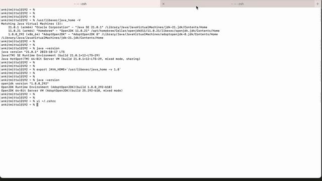 How to Change Java Version | How to Switch Java Versions in Mac | Mac M1 M2 | Intel or Silicon Mac смотреть онлайн