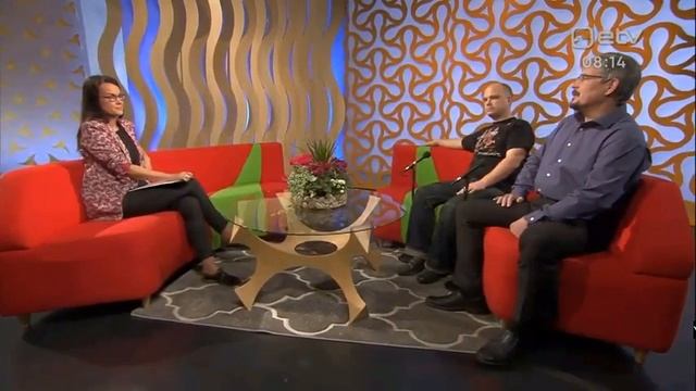 Terevisioon: Kuidas võidelda majavammi vastu? (Kalle Pilt ja Raiko Puust) смотреть онлайн