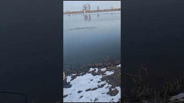 new fishing video 2024 смотреть онлайн