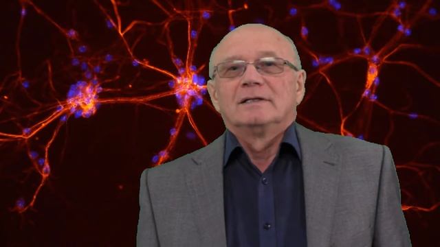 Представление канала Академия Стоп-Инсульт смотреть онлайн