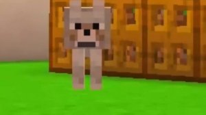 Майнкрафт но ЖИЗНЬ Девушка Кошка Принцесса в Майнкрафте Троллинг Minecraft