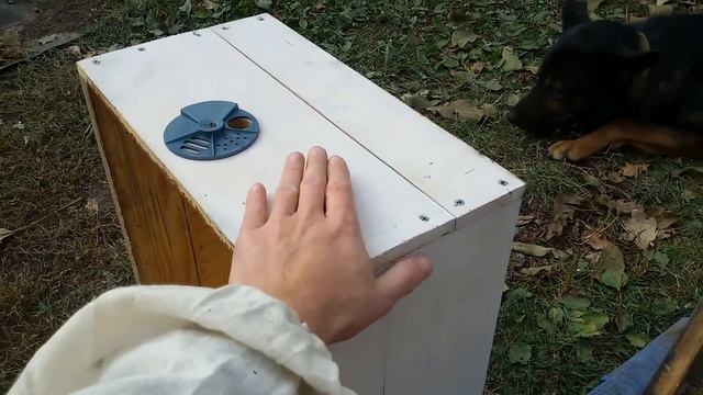 Ульи на моей пасеке & Многокорпусный бесфальцевый улей смотреть онлайн