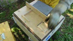Как заселить нуклеус? Сколько нужно пчел, чтобы заселить нуклеус?