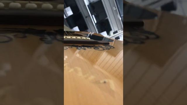 Custom Guitars Model:SD1-NA