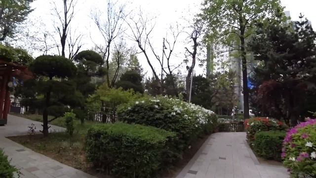 Сколько надо денег, чтобы жить в Корее? / Korea Vlog