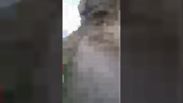 Цыпово, скальный монастырь смотреть онлайн