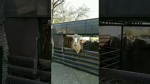 Ну очень любопытно ))).mp4 смотреть онлайн
