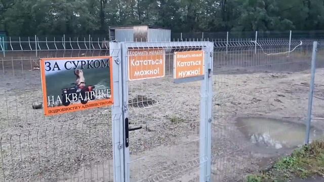 Гостевой Дом Двор Сурка Ростовская обл. Как добраться до Грузии и Турции на Авто. смотреть онлайн