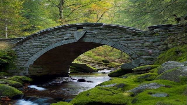 Мужик должен быть мужиком, а твой по салонам ходит чаще, чем я, - объясняет мама смотреть онлайн