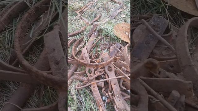 Коп Металла на месте бывшей деревни. 600кг за 5 часов. смотреть онлайн