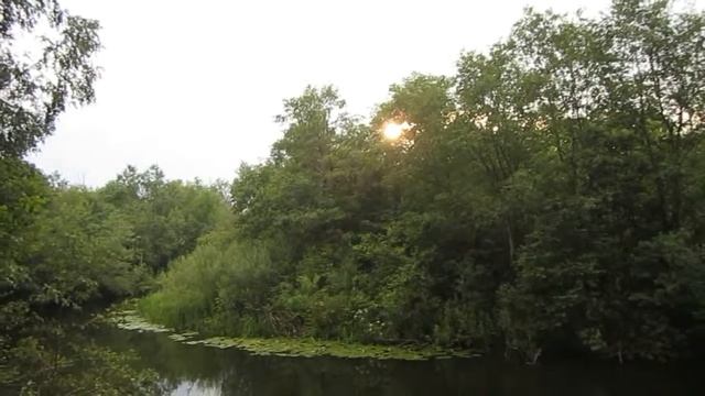 река Великая 2017 Гастраномический ПВД смотреть онлайн