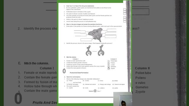 VII CBSE BIOLOGY VIDEO 17 CHAP 12 REPRODUCTION IN PLANTS DISCUSSION