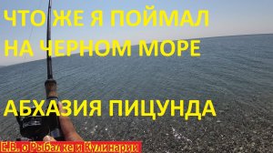 РЫБАЛКА НА ЧЕРНОМ МОРЕ  НА ДЖИГ В АБХАЗИИ ПИЦУНЦА.ЧТО ЖЕ ТАМ МОЖНО ПОЙМАТЬ.2024 ГОД.