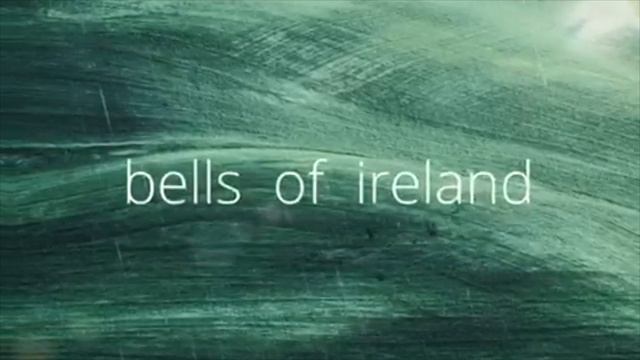 Bells of Ireland by Zidraw смотреть онлайн