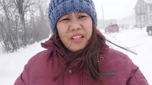 SNOW STORM HIT SOUTHERN MANITOBA CANADA смотреть онлайн