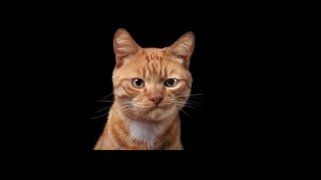 ИГРАЕМ НА РУЛЕТКАХ ХАЛЯВА И ПРОМОКОДЫ