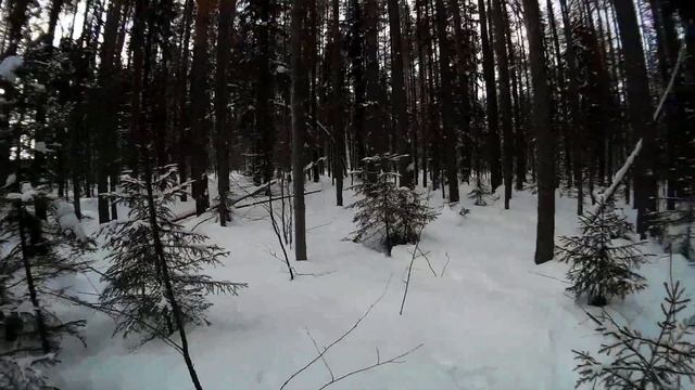 Охота на Лис капканами 2020г. И ТАКОЕ БЫВАЕТ....  (2 часть)