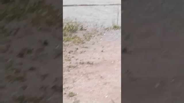 25 мая 2023 г. смотреть онлайн