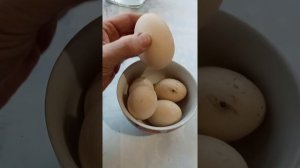 ЕДА ДЛЯ ИЗБРАННЫХ. Утиные яйца.