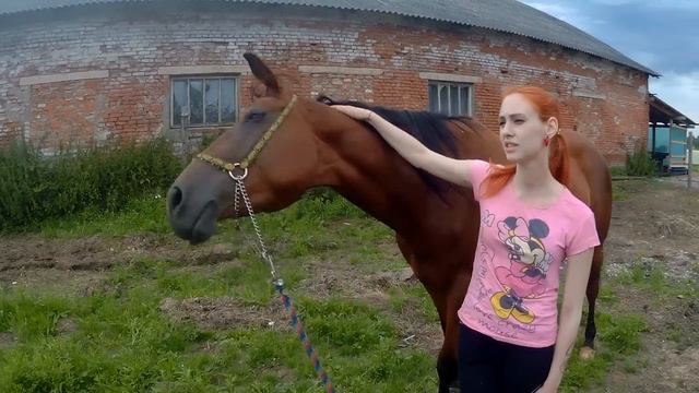 Орнела: история разлуки с хорошим концом! :)