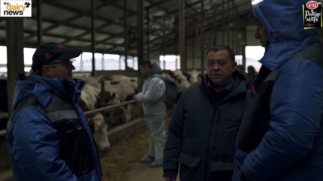 Барин к нам приехал. Молвест. Обзор разных технологий доения смотреть онлайн