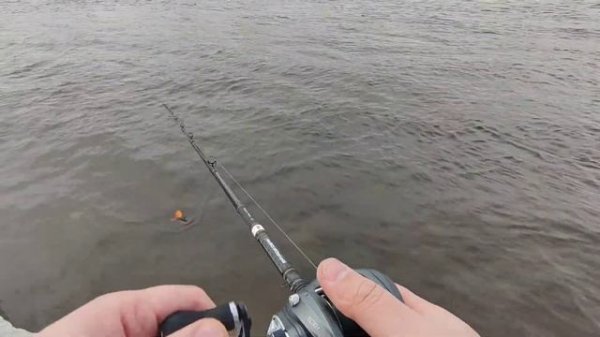 Tica Titanclaw катушка для биг бейтов