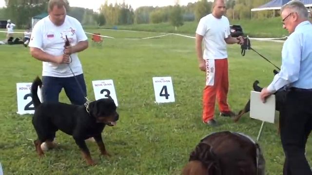 SANTO V KALENBORN -3 смотреть онлайн