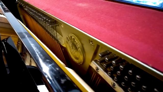 Yamaha P2F Ebony Polish Studio смотреть онлайн