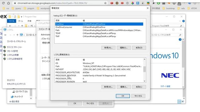 【Python】Selenium,ChromeDriverのダウンロード方法 смотреть онлайн