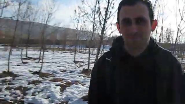 как кормят медведя)))) смотреть онлайн