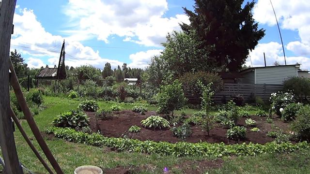 Спрашиваете - отвечаю: 2 Куда закапываю сорняки... смотреть онлайн