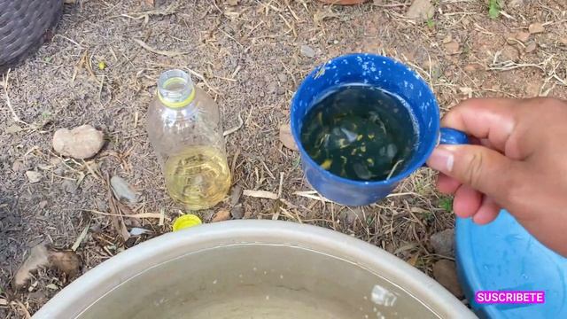 COMO HACER LA TIERRA ACIDA, USO DE VINAGRE EN PLANTAS смотреть онлайн