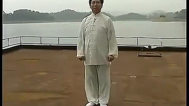 梁式八卦掌基本功  邸国勇Lian Shi Baguazhang Jibenggong Di Guoyong