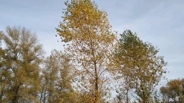 18 октября праздник Харитины - первые холстины . Народные приметы и традиции смотреть онлайн