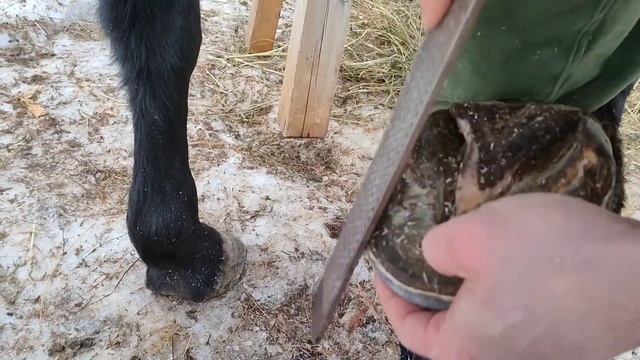 Натуральная расчистка. Тонкая плоская подошва и клеш. смотреть онлайн