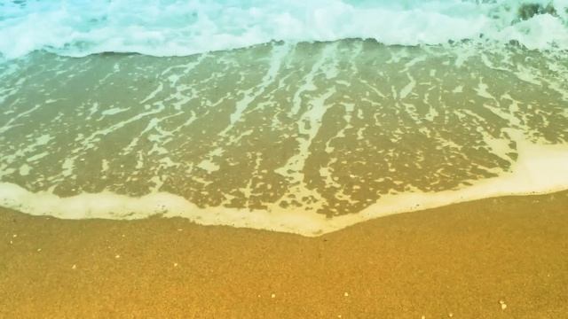 Let's Go For A Walk смотреть онлайн