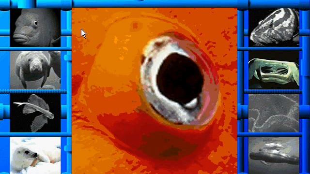 Undersea Adventure (Windows Version) Kid's Activities Walkthrough Part 1 (Who Am I?) Plus Intro смотреть онлайн