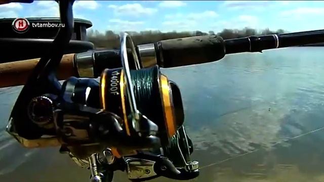 Рыболовы на Природе