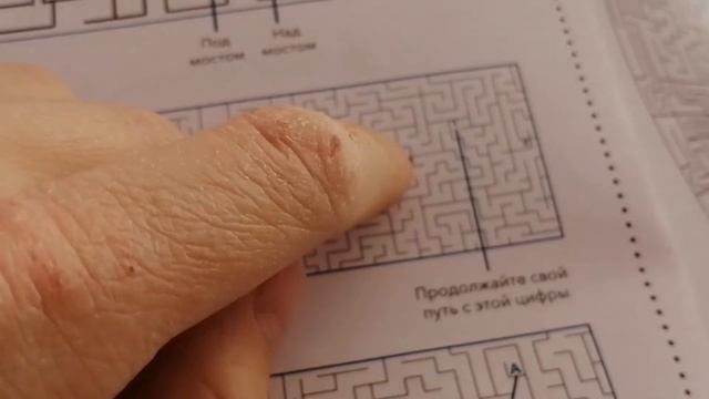 НЕВЕРОЯТНЫЕ ЛАБИРИНТЫ - обзор на книгу журнал смотреть онлайн