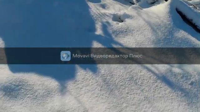 Охота на зайца.Первый заяц в этом сезоне.ПО ПЕРВОМУ СНЕГУ смотреть онлайн