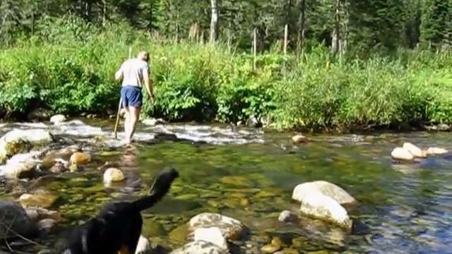 ПОДНЕБЕСНЫЕ ЗУБЬЯ 2013 смотреть онлайн