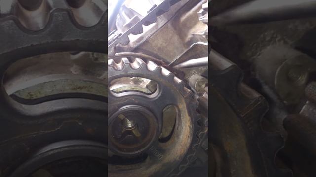 colocar correa de tiempo kia carnival 2.5 смотреть онлайн