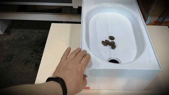 Автоматический кошачий туалет. Без воды - и ни туды, и ни сюды! смотреть онлайн