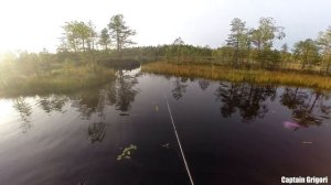 Рыбалка в лесу на болоте, щука окунь на Жихаревских карьерах, рыбалка в Жихарево